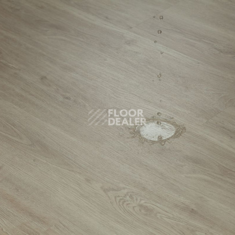 Tarkett Funky House GUSTO фото 8 | FLOORDEALER